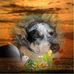 Jared Mueller - Facebook