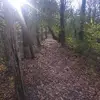 jaredmyrick8 - @jaredmyrick8 - TikTok