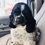 Jared Neff - @jared.neff.39 - Instagram