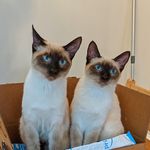 Jared Nickerson - @jaredn13 - Instagram
