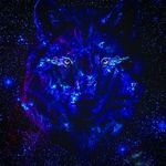 jared nickerson - @galaxy_wolf203 - Instagram