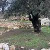 Jared Northrop - @jared.northrop - TikTok