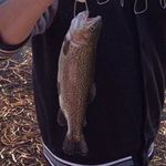 Jared Ochoa - @jarebearthegreat - Instagram