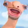 gitgud895 - @jarednorton - TikTok