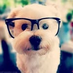 Dilver Jared Alama Otero - @dilverjaredalama - Instagram