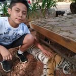 jared otero - @jaredotero53 - Instagram