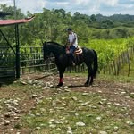 Jared Palacios - @jspalacios01 - Instagram