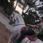 Jared Palacios - @jaredpalacios9 - Instagram