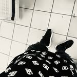 Jared Palacios - @__jp__0005 - Instagram