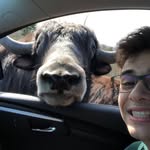 Jared Patel - @jared_patel_9 - Instagram