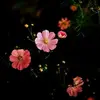 JaredPatelgAJDOz - @jaredpatelgajdoz - TikTok