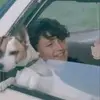 Jared Paterson - @jared.paterson - TikTok