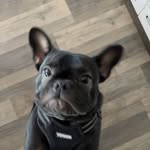 @jared_peacock - Instagram