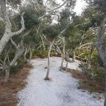Jared Pearce - @pearce682 - Instagram