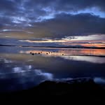 Jared Pearson - @jpnaturepht - Instagram