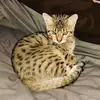 jaredpearson27 - @jaredpearson27 - TikTok