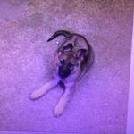 Jared Petersen - @jared.petersen.5496 - Instagram