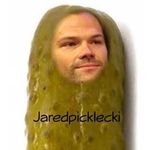 @jaredpicklecki - Instagram