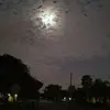 jaredpierre710 - @jaredpierre710 - TikTok