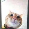 Jared Pimentel618 - @jaredpimentel0909 - TikTok