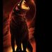 Jared Pincus - Facebook