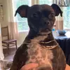 jared - @jared.pines - TikTok