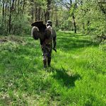 Jared Polansky - @jaredpolansky9 - Instagram