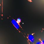Jared Pollard - @guiltpistachios - Instagram