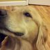 Jared Rabinowitz - Facebook