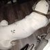 Jarrett Ridley - Facebook