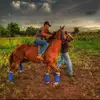 Jared Rivas532 - @jaredrivas30 - TikTok