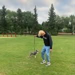 Jared Rochette - @jared.rochette - Instagram