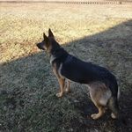 Jared Royer - @royerjared - Instagram