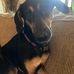 Jared Royer - Facebook