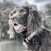 Jared Sapp - Facebook