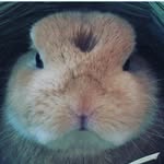 @jaredsapph - Instagram