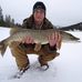 Jared Seitz - Facebook