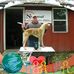 Jared Seitz - Facebook