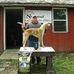 Jared Seitz - Facebook