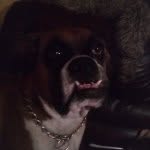 Jared Self - @jaredsofly0206 - Instagram