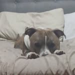 jared self - @gunnutz45 - Instagram
