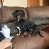 Jared William Sells - @jaredwilliamsells - TikTok