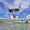 Jared Shealy - @jaredshealy - TikTok