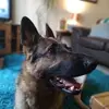 Jared Shillington - @jaredshillington - TikTok