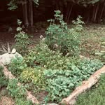 Jared Slack - @heartofthewoodsfarm - Instagram
