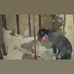 Jared Slone - Facebook