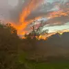 JROD - @jaredsmith484 - TikTok
