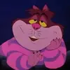 jaredsmola156 - @jaredsmola156 - TikTok