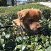 Jared Sokoloff - Facebook