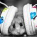 Jared Speer - Facebook